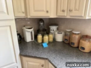 Freshly made sauerkraut versus 7-month aged fermented sauerkraut, showing the color difference with time