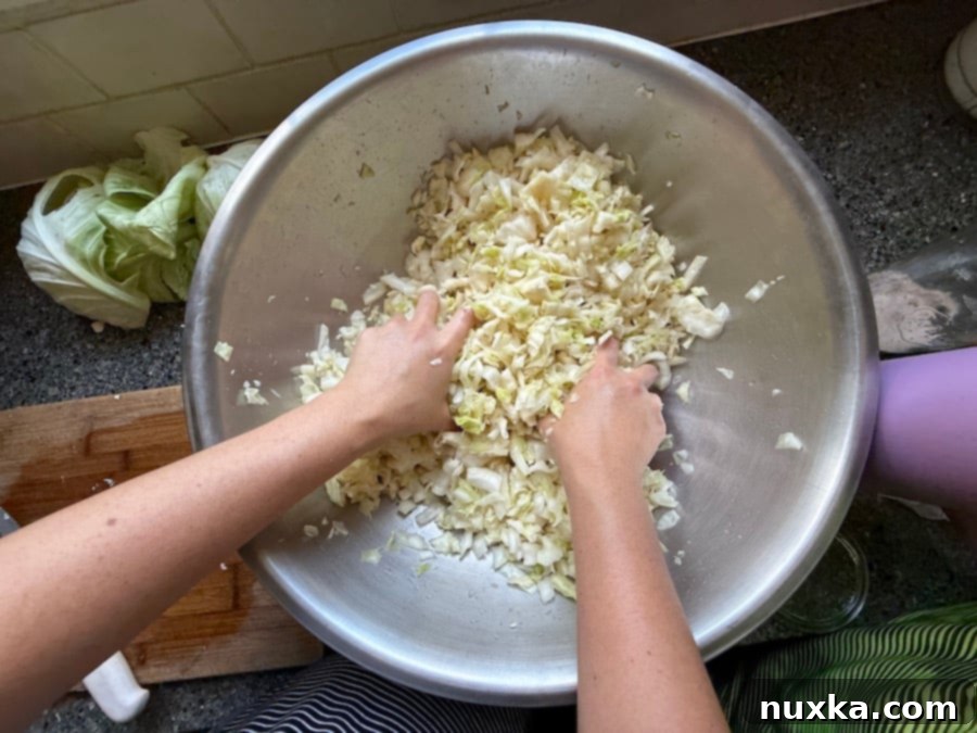 Massaging salt into chopped cabbage to release its natural juices, a crucial step for homemade sauerkraut