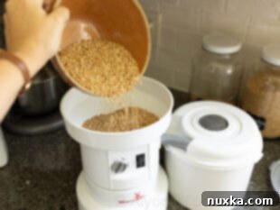 Freshly milled wheat flour in a large mixing bowl, ready for English muffin dough