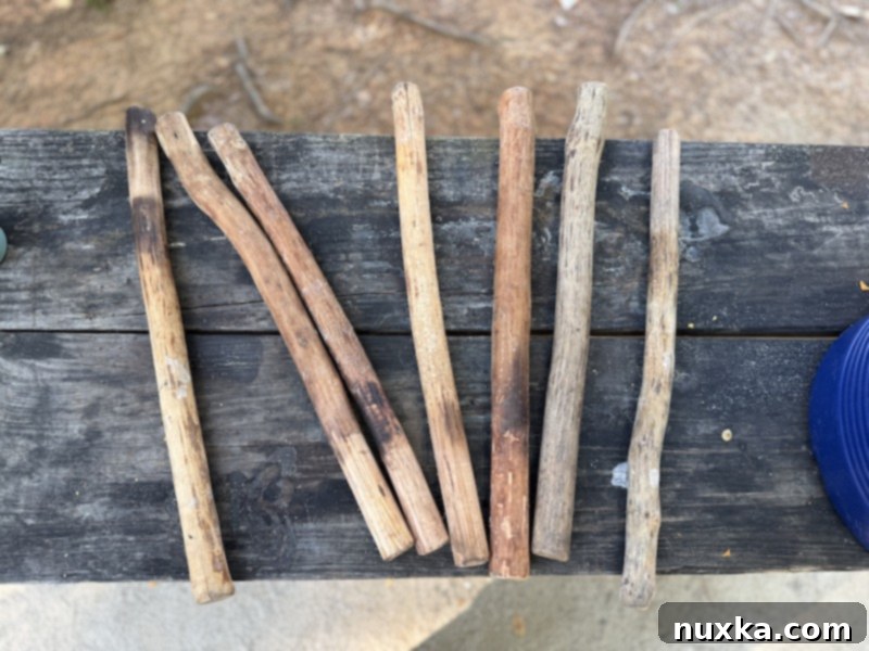 A collection of homemade DIY Woof Em Sticks made from natural wood branches, ready for campfire cooking