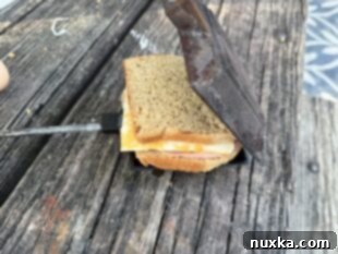 ham and cheese mountain pie sandwich
