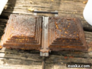 image of cooked mountain pies opened in the mountain pie maker