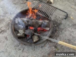 image of a campfire with a mountain pie maker