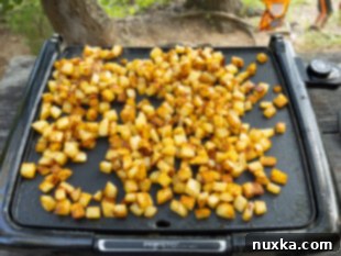 image of how to cook breakfast potatoes on an electric griddle outdoors