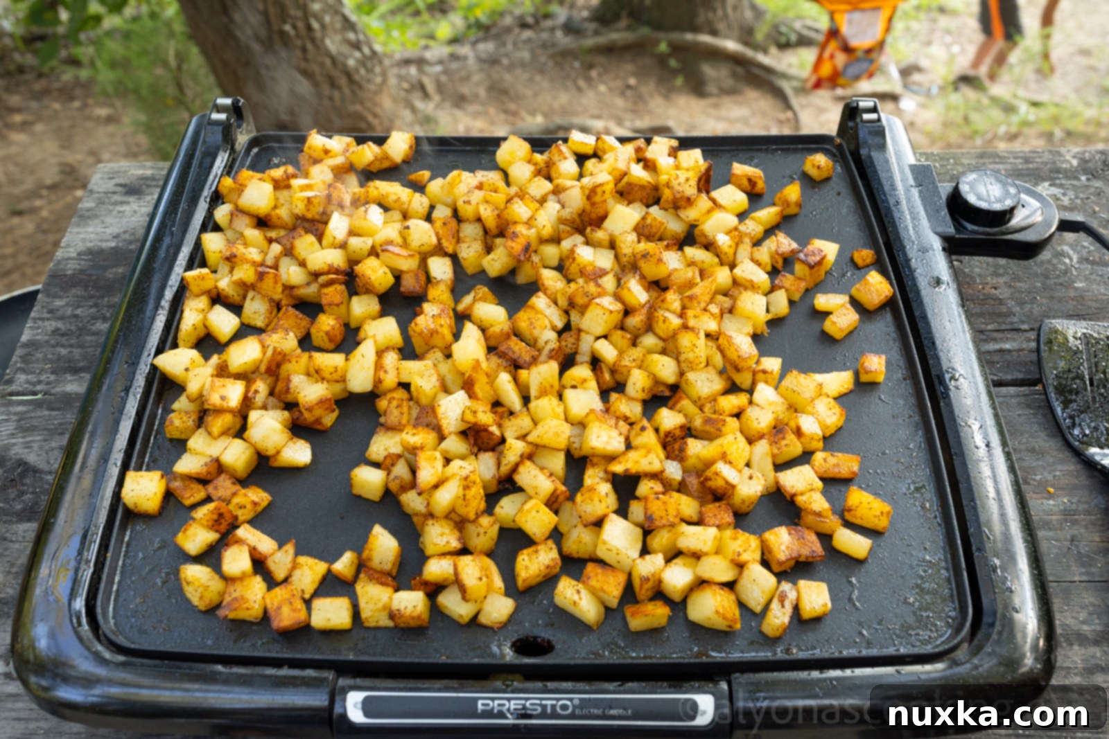 image of how to cook breakfast potatoes on an electric griddle outdoors