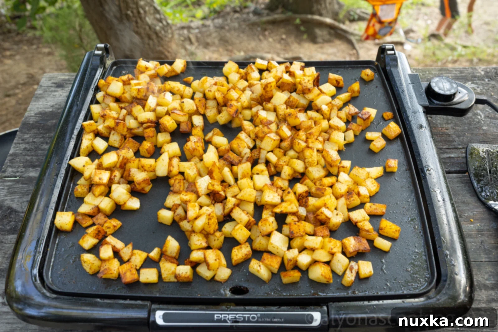 image of how to cook breakfast potatoes on an electric griddle outdoors