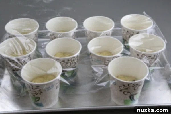 Paska dough rising in cups