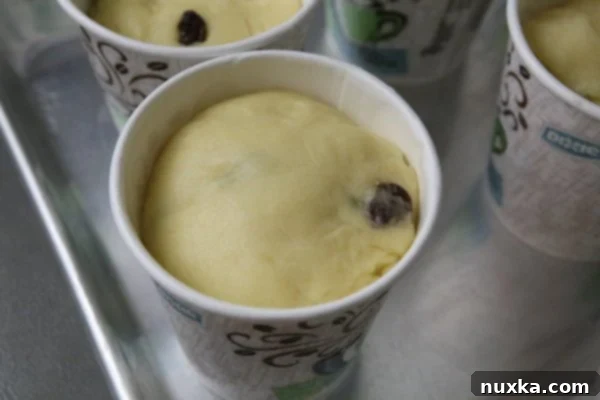Fully risen Paska dough in cups before baking