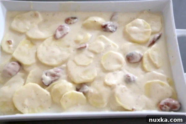 Freshly baked loaded scalloped potato casserole, hot and bubbly