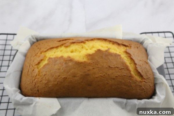 IMG_8778 - Cooling lemon pound cake on a wire rack