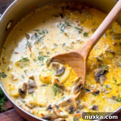Velvety Mushroom Soup 2 the best mushroom soup recipe