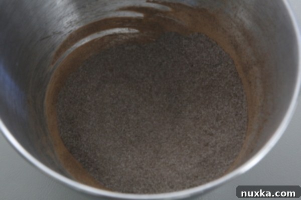Cocoa powder and sugar being whisked together in a bowl.