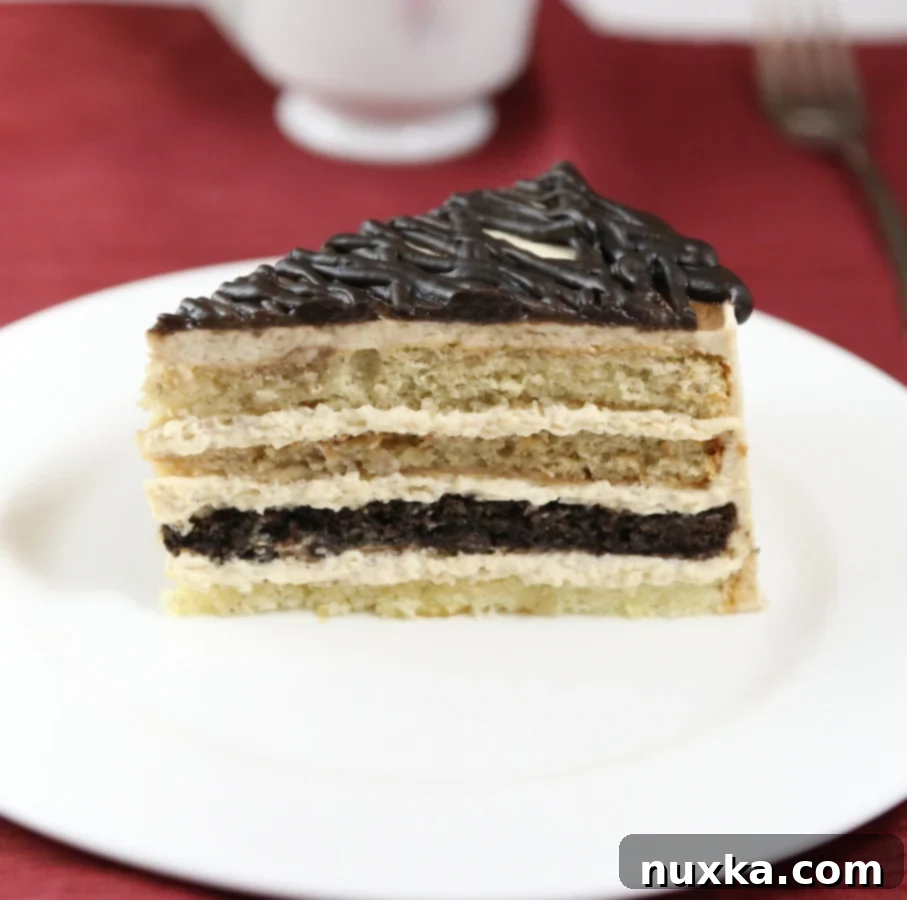 Close up of a slice of layered cappuccino cake with mousse