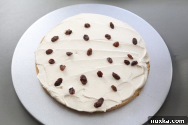 Layering cake with mocha cream mousse and raisins