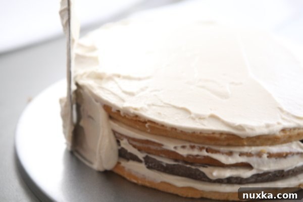Frosted layered cappuccino cake