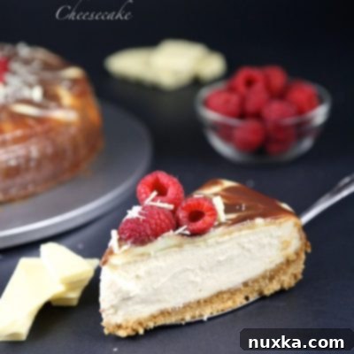 Decadent Double Chocolate Raspberry Cheesecake 13 double chocolate raspberry cheesecake