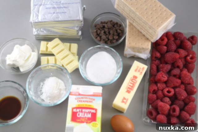Crust ingredients for chocolate raspberry cheesecake being prepared