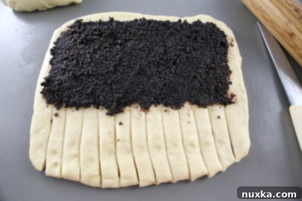 Dough strips cut for braiding the poppy seed roll