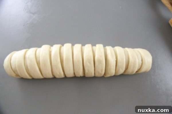 Finished braided poppy seed pastry before final rise