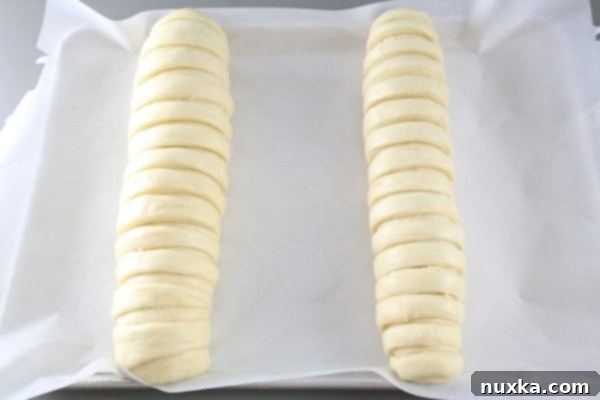 Braided poppy seed rolls proofing on baking sheet