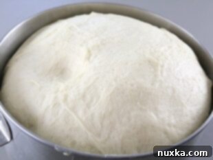poppy seed roll dough rising