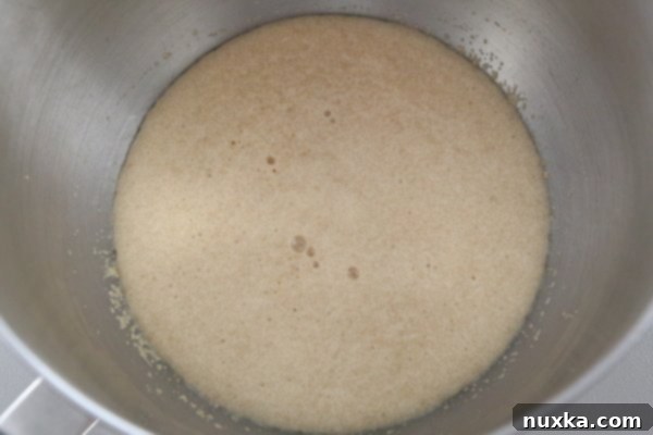 Dissolving sugar and yeast in warm milk for poppy seed rolls