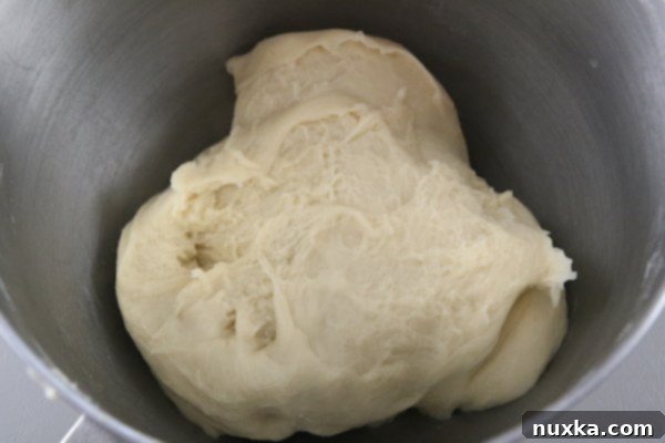 Well-kneaded dough for poppy seed rolls