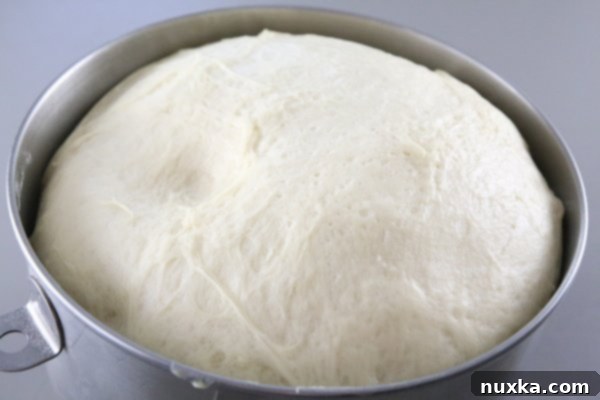 Poppy seed roll dough after rising, doubled in size