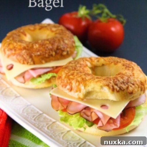 Asiago Cheese Bagel Sandwich