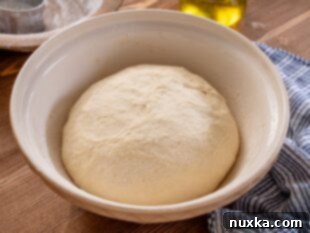 Italian bread dough mixed in a bowl