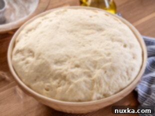 Risen Italian bread dough