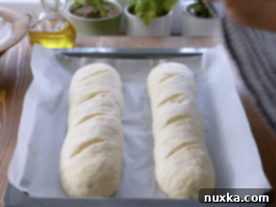 Rising shaped Italian loaves on a baking pan