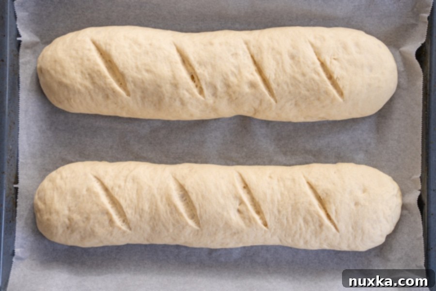 hand-formed oval bread loaves (Italian loaf bread)