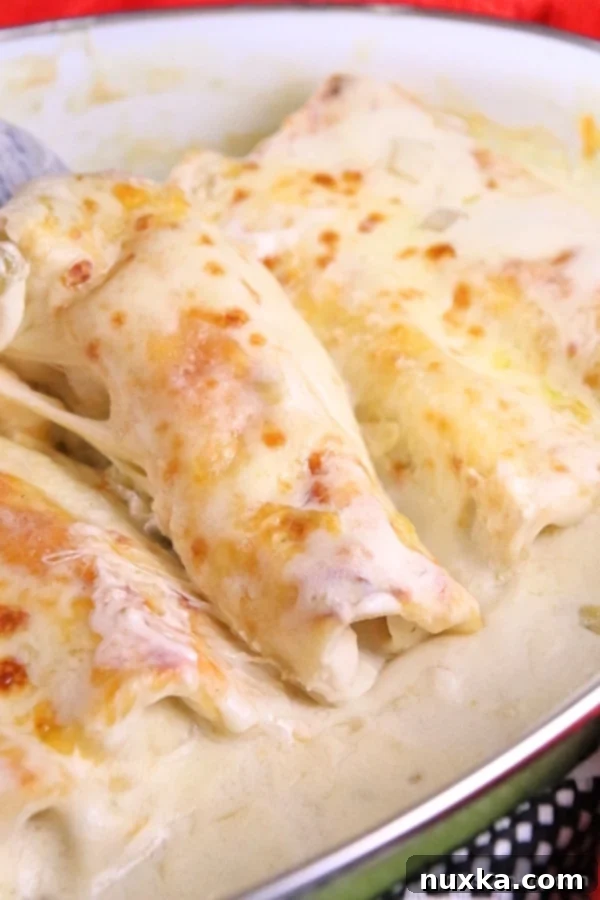 Delicious White Chicken Enchiladas with creamy sauce