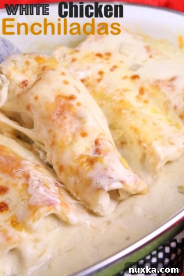 Baked white chicken enchiladas ready to serve