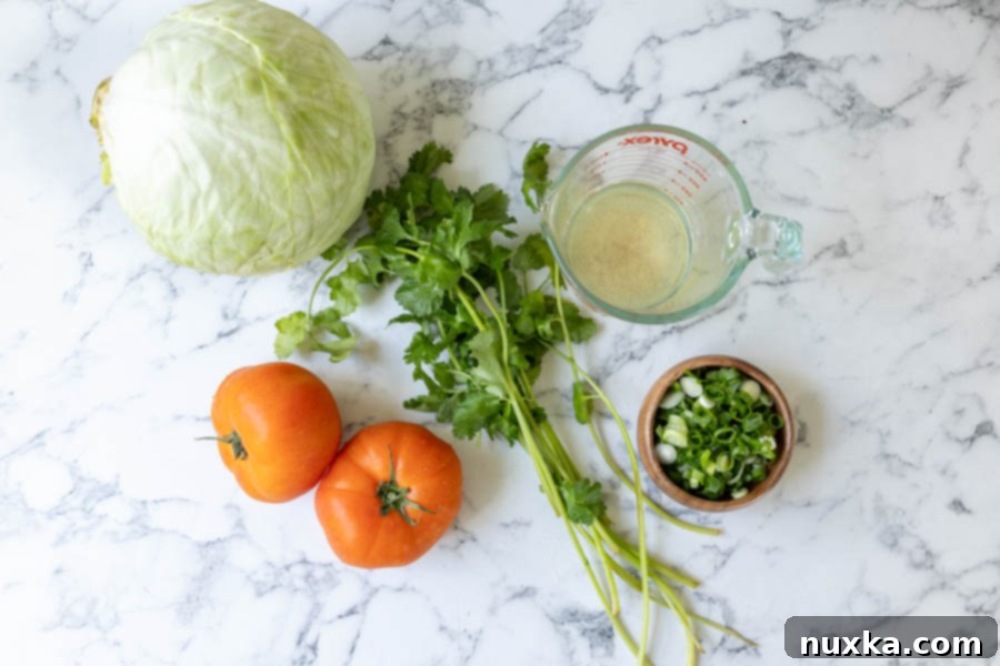ingredients for simple Cabbage Salad (white cabbage, fresh tomatoes, cilantro, green onions, and homemade vinaigrette) 