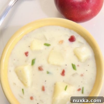 Loaded Baked Potato Soup 12 Panera Bread style baked potato soup with toppings