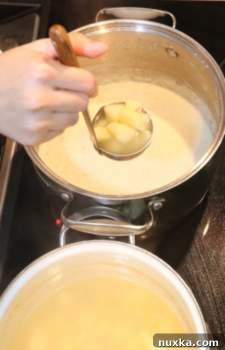 Adding boiled potatoes and chicken stock to soup base