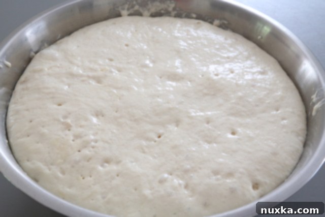 The fluffy, risen yeast dough, ready for shaping