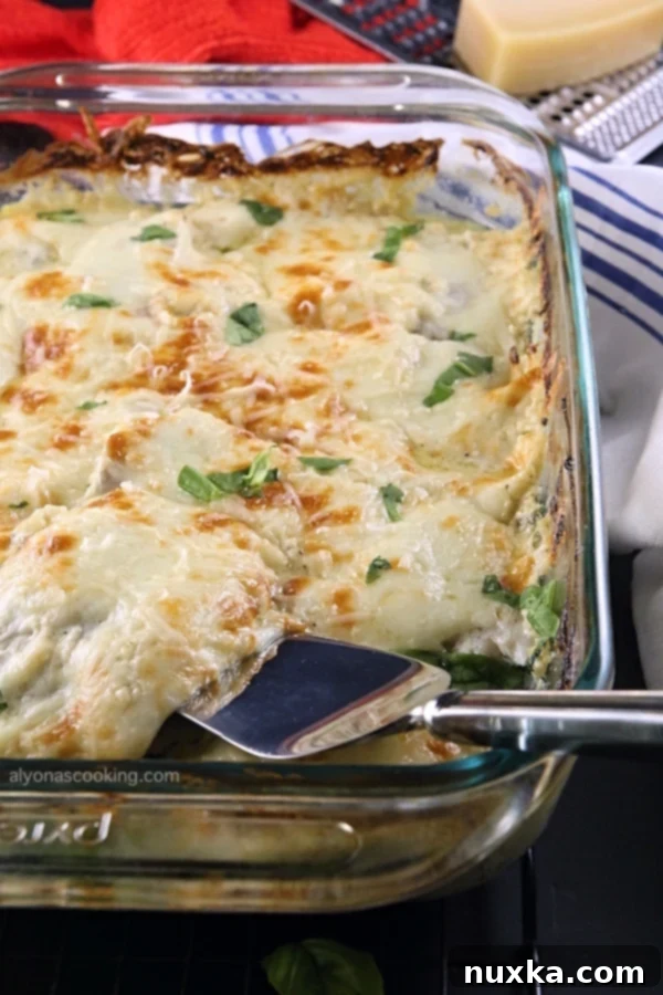 Creamy-Baked-Tilapia-Spinach-Casserole final dish close-up