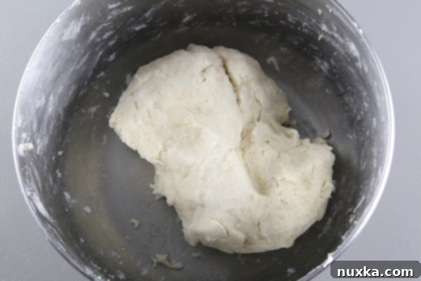 Soft Rugelach dough after mixing, resembling a tender pie crust, ready for chilling.
