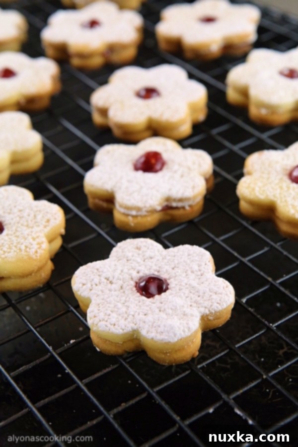 Beautifully assembled jam sandwich cookies