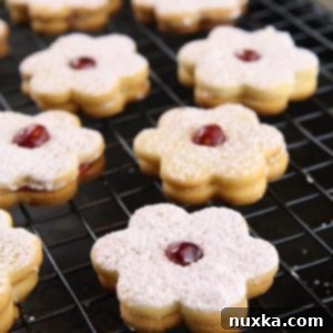 Jam Sandwich Cookies with raspberry jam