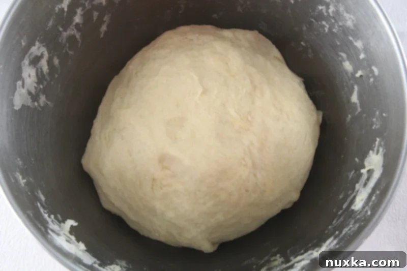 Pierogi dough resting on a floured surface.