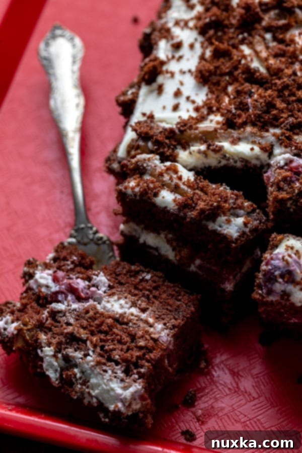 chocolate-cherry-cake