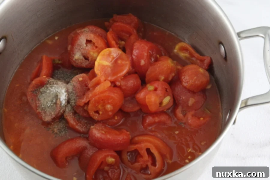 Tomato soup simmering in a pot with chicken stock and seasonings