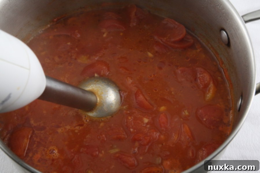 Using an immersion blender to achieve desired consistency for the tomato soup