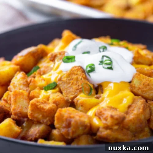 Crispy Cheesy Fiesta Potatoes Taco Bell Copycat 5 taco bell cheesy fiesta potatoes with sour cream and cheese on a black plate and green onions