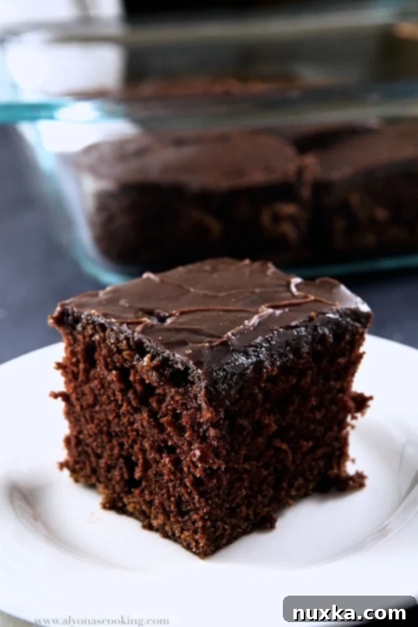 one-bowl-chocolate-cake-recipe-alyonascooking-fudge-icing-