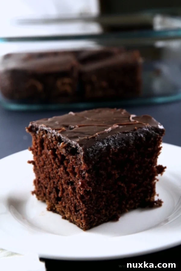 one-bowl-chocolate-cake-recipe-alyonascooking-fudge-icing-